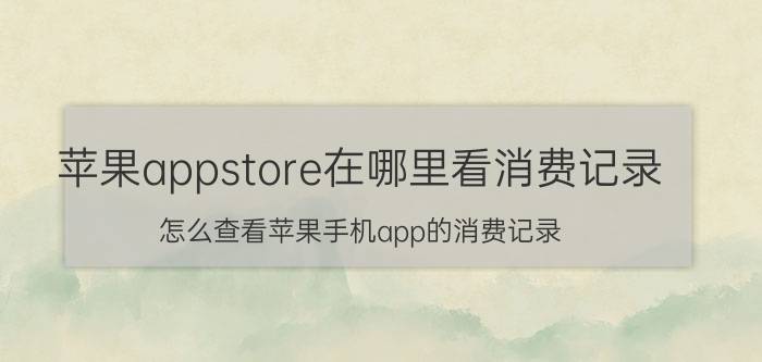 苹果appstore在哪里看消费记录 怎么查看苹果手机app的消费记录？